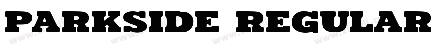 Parkside Regular字体转换